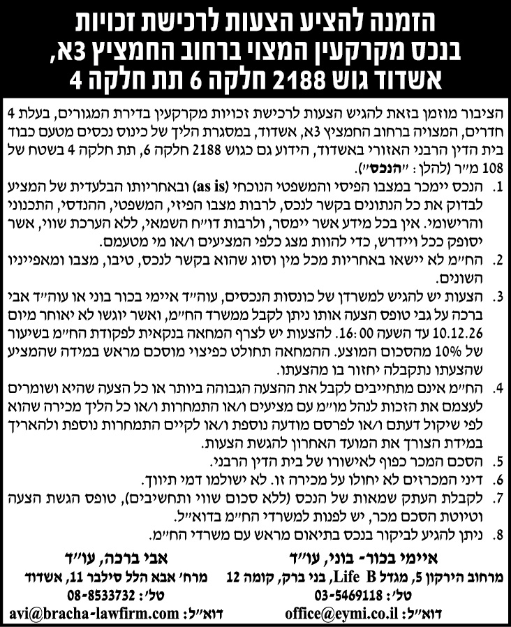איימי בכור בוני ושות