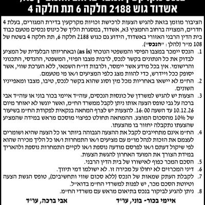 איימי בכור בוני ושות