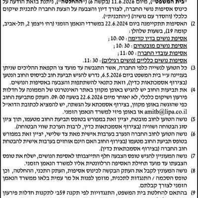 ליפא מאיר ושות