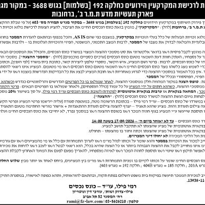 עוד פילו צדוק ושות
