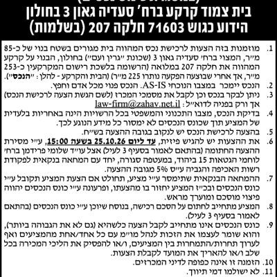 שלומי פרידמן עוד