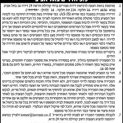 תומר אברהמי
